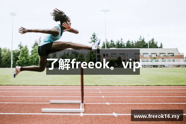 了解freeok。vip